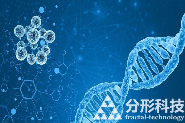 醫(yī)院網(wǎng)站建設(shè)：提升醫(yī)療服務(wù)水平與患者體驗